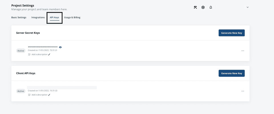 Statsig API key